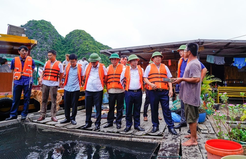 Hải Phòng: Đẩy nhanh tiến độ tháo dỡ lồng bè nuôi trồng thủy sản trên các vịnh thuộc quần đảo Cát Bà