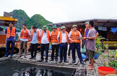 Hải Phòng: Đẩy nhanh tiến độ tháo dỡ lồng bè nuôi trồng thủy sản trên các vịnh thuộc quần đảo Cát Bà