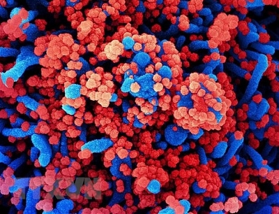 Trung Quốc phát triển vật liệu nano phòng chống virus SARS-CoV-2