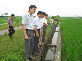 Kiểm tra chất lượng lúa cấy bằng mạ khay tại xã Tân Tiến.