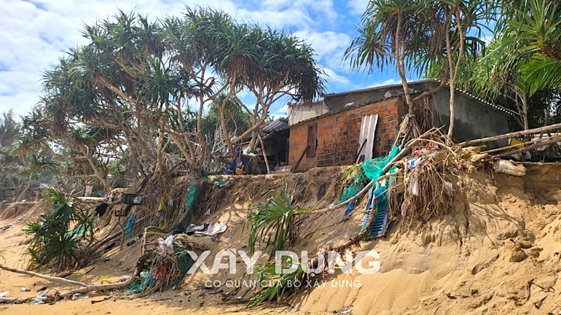 Triều cường kéo sập nhà dân ở Quảng Ngãi