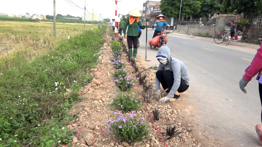 Bắc Giang: Xây dựng nông thôn mới tại Lục Nam, tăng tốc để về đích