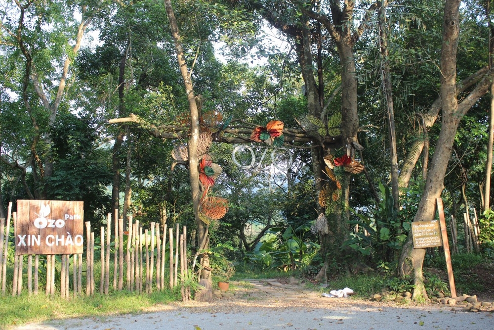 Quảng Bình: Xử lý nghiêm doanh nghiệp lấn chiếm rừng phòng hộ làm du lịch sinh thái
