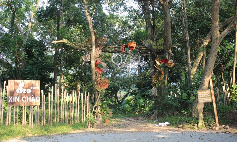 Quảng Bình: Xử lý nghiêm doanh nghiệp lấn chiếm rừng phòng hộ làm du lịch sinh thái