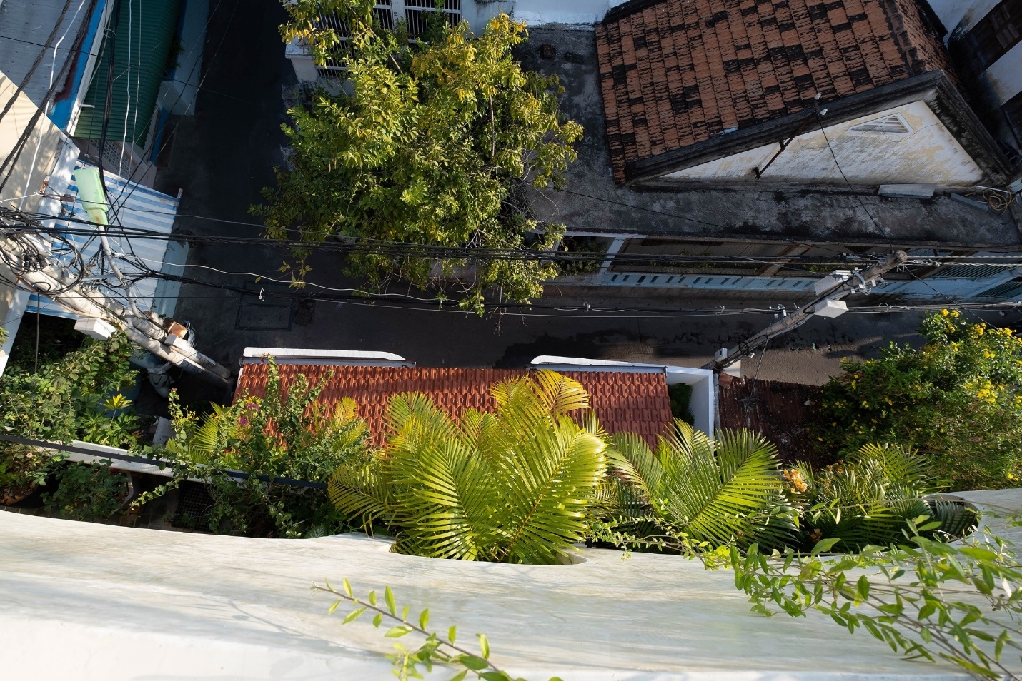 Nhà hẻm ở Nha Trang sử dụng đường cong bất định, mảng xanh thiên nhiên ngập tràn