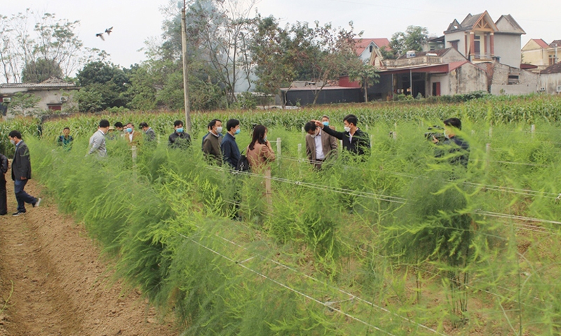 Thanh Hóa: Huyện Vĩnh Lộc với phong trào xây dựng Nông thôn mới “lấy sức dân để lo cho dân”