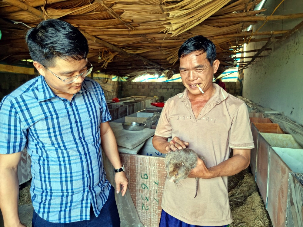 Hạ Long (Quảng Ninh): Vượt tiêu chí khó xây dựng nông thôn mới