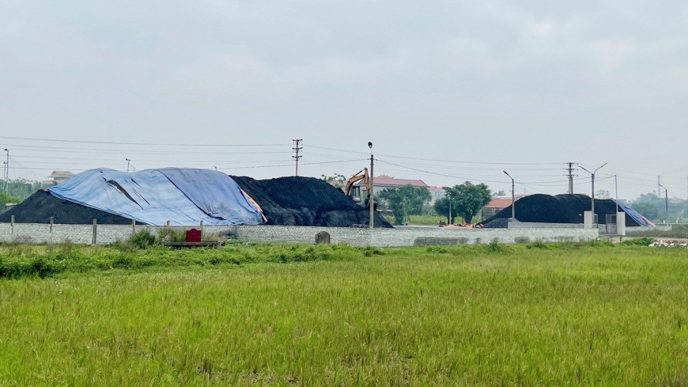 Yên Khánh (Ninh Bình): Bãi tập kết than trái phép sát khu dân cư