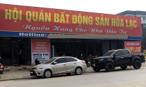  Cò đất qua thời ăn dày 