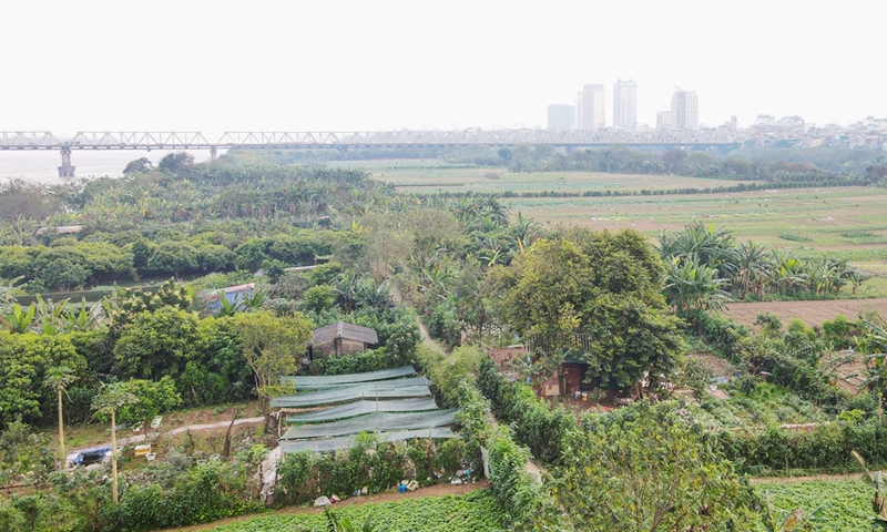 Hà Nội nghiên cứu phát triển bãi giữa sông Hồng thành công viên văn hóa du lịch, khu đô thị