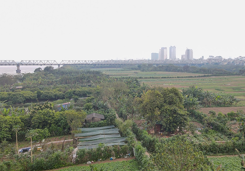 Hà Nội nghiên cứu phát triển bãi giữa sông Hồng thành công viên văn hóa du lịch, khu đô thị