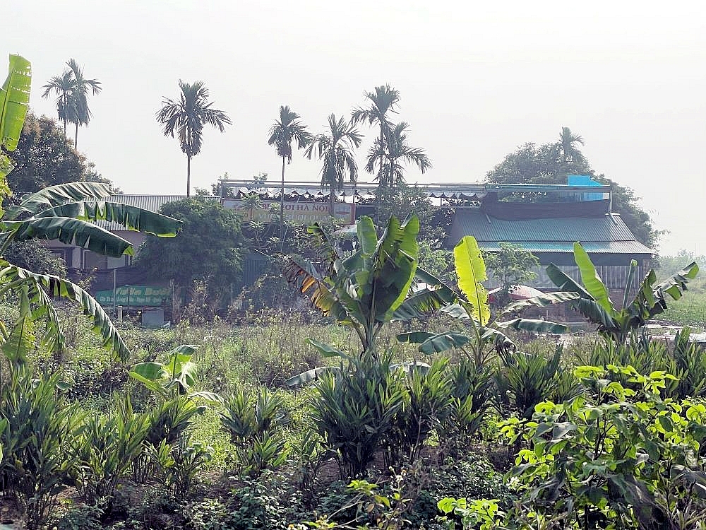 Quốc Oai (Hà Nội): Chính quyền có “làm ngơ” trước những vi phạm trật tự xây dựng trên đất nông nghiệp tại xã Ngọc Mỹ?