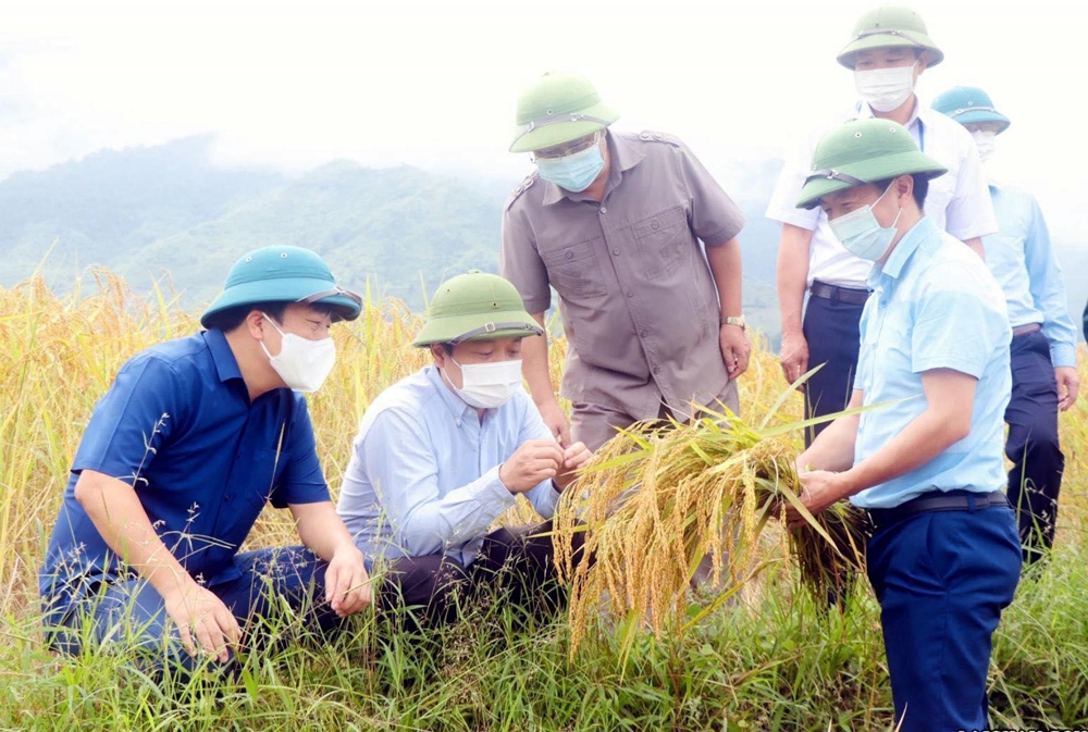 Phong Thổ (Lai Châu): Phấn đấu trong xây dựng nông thôn mới phù hợp với khả năng thực hiện
