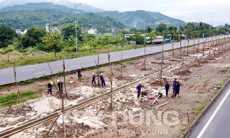 Khánh Hòa: Dự án trồng cây xanh đường Võ Nguyên Giáp “xin” thêm tiền để điều chỉnh thiết kế
