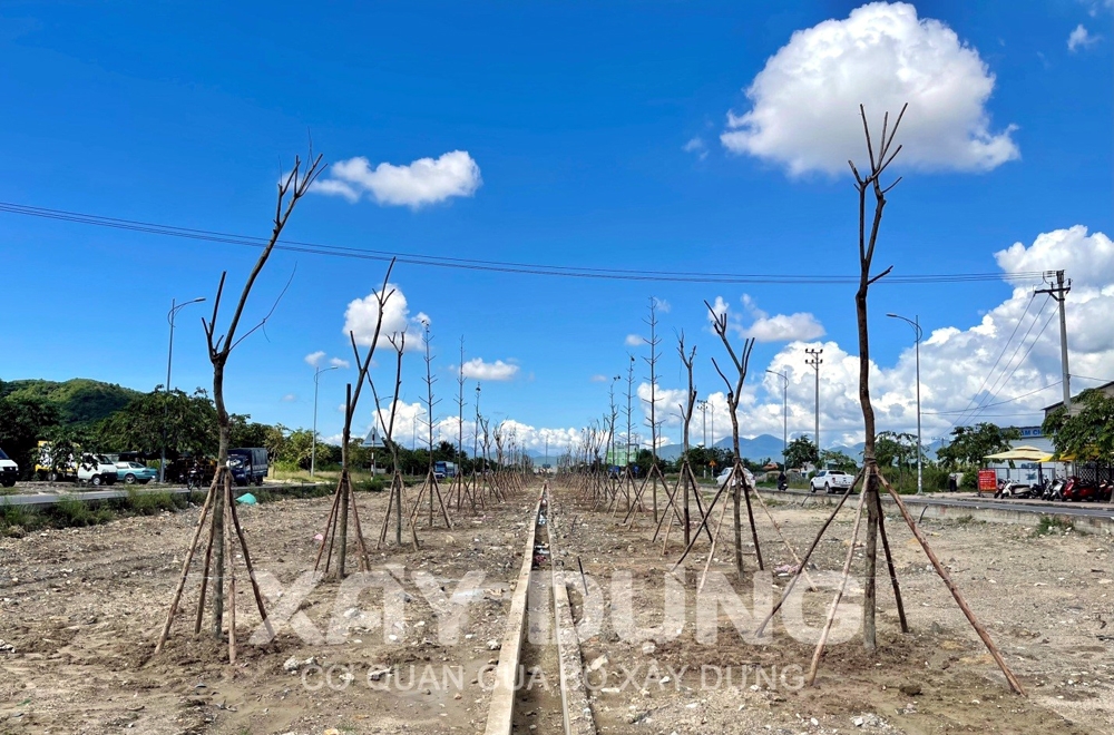 Khánh Hòa: Dự án trồng cây xanh đường Võ Nguyên Giáp “xin” thêm tiền để điều chỉnh thiết kế