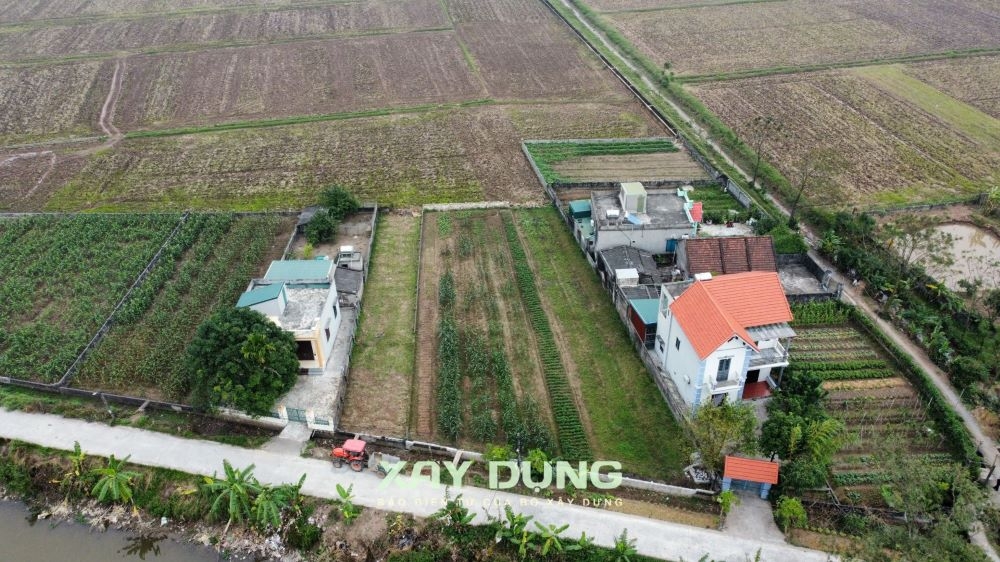 Ý Yên (Nam Định): Cần xử lý nghiêm những sai phạm trên đất nông nghiệp tại xã Yên Phúc