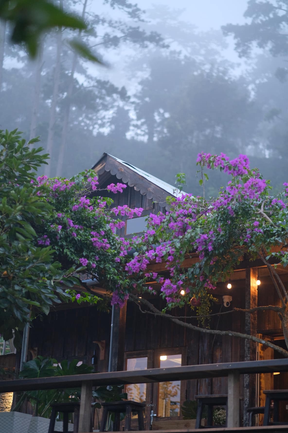 Cô gái dựng nhà gỗ, sống giữa hoa cỏ và mây trời ở Đà Lạt