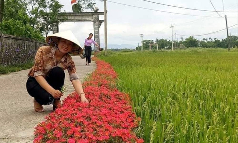 Quảng Trị: Hệ thống hạ tầng được cải thiện nhờ xây dựng nông thôn mới