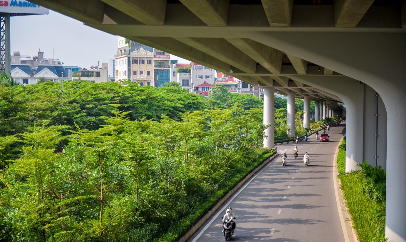 Giải pháp quản lý cây xanh phù hợp với hạ tầng, kiến trúc đô thị