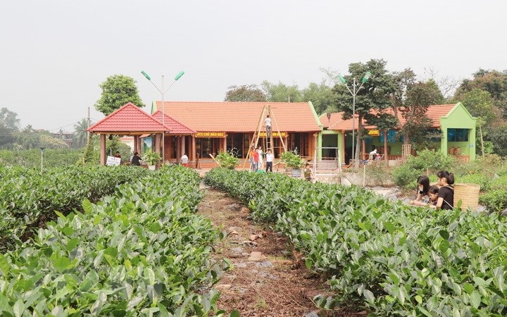 Thái Nguyên: Tân Cương hướng tới “xã Nông thôn mới kiểu mẫu” vào năm 2023