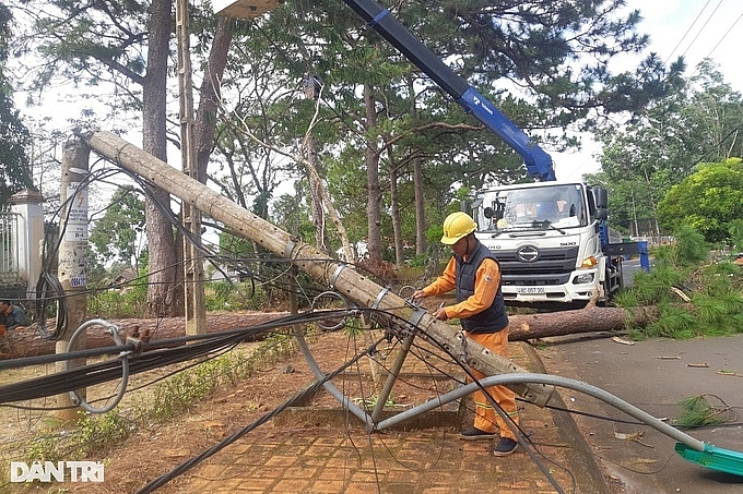 Gió lớn bất thường, nhiều công trình, cây cối đổ sập