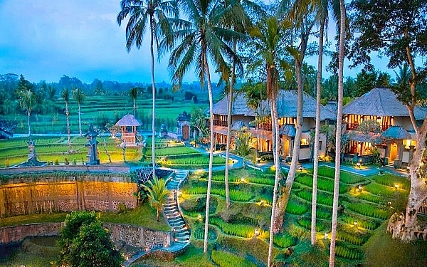 Mô hình farmstay ở Việt Nam  loại hình du lịch phát triển mạnh