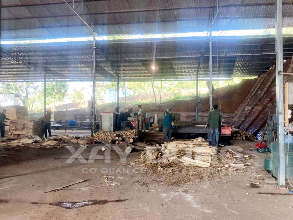 Thanh Sơn (Phú Thọ): Dự án Nhà máy sản xuất chế biến gỗ Hùng Hằng dính hàng loạt sai phạm vẫn “ung dung” tồn tại