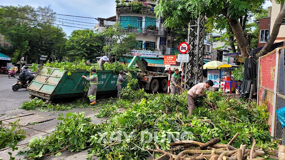 Năm 2023, thành phố Quảng Ngãi chi trăm tỷ quét dọn rác, chăm sóc cây xanh