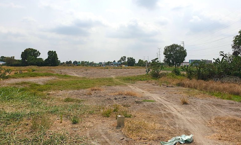 Chấp thuận chuyển mục đích sử dụng đất tại Sóc Trăng, Long An