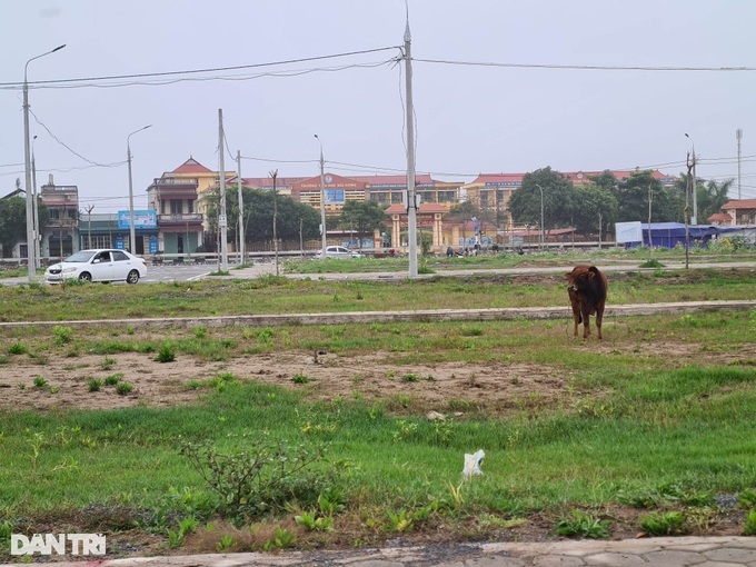 Qua nhiều cơn sốt đất, giao dịch đất nền ở Nam Định cao ngất ngưởng