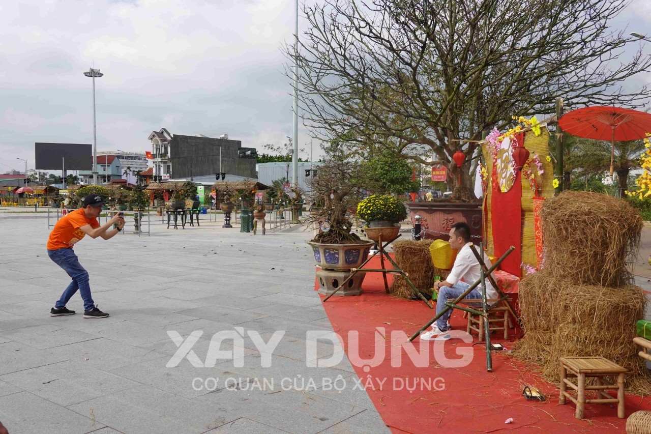 Bình Định: Lễ hội mai vàng khát vọng tỏa sáng
