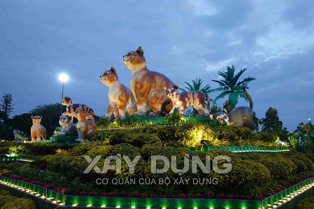Bình Định: Gia đình nhà mèo du xuân đón tết