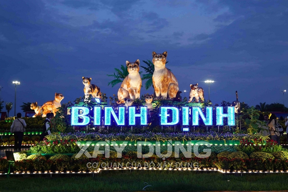 Bình Định: Gia đình nhà mèo du xuân đón tết