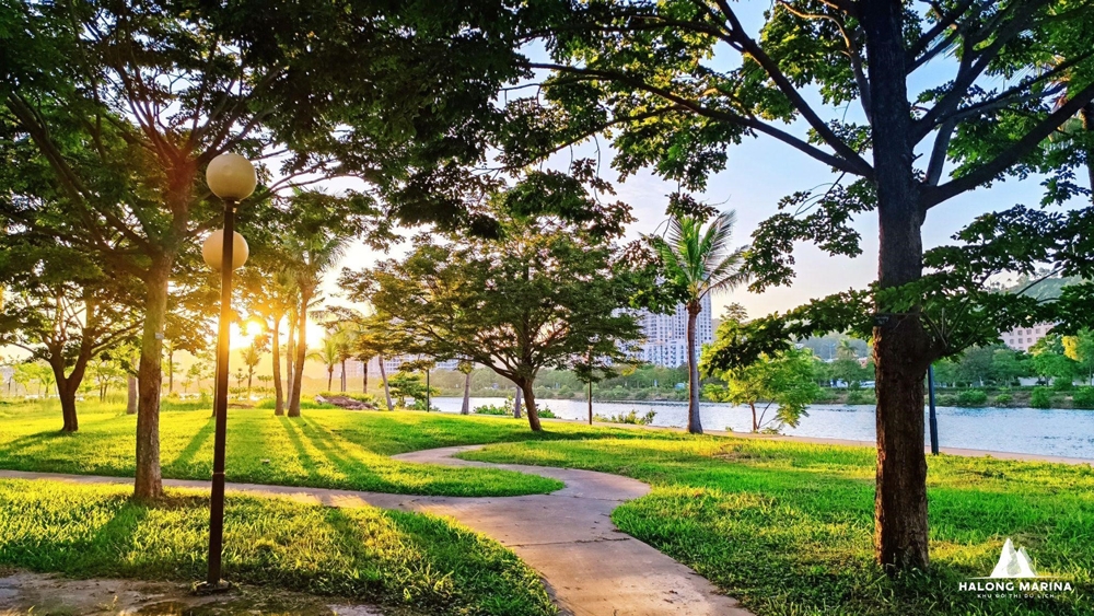 Khu đô thị Halong Marina trồng 500 cây xanh hưởng ứng Tết trồng cây