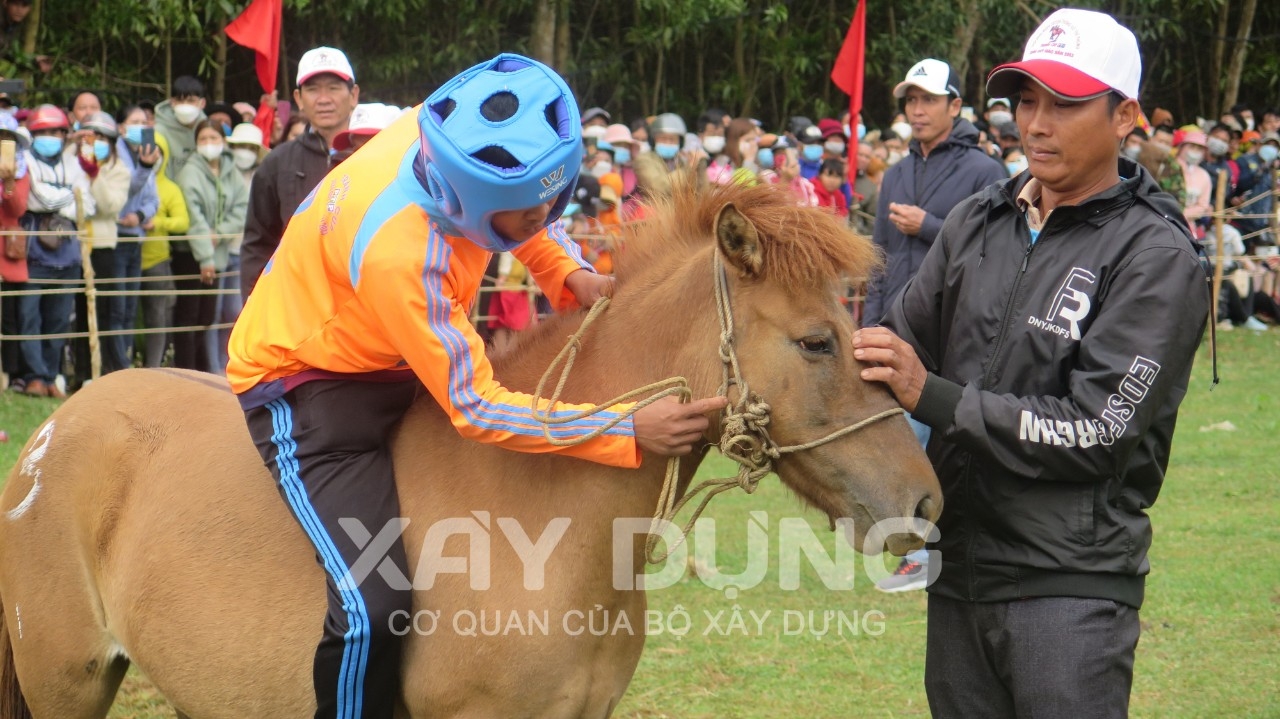 Phú Yên: Sôi động và hấp dẫn Lễ hội đua ngựa Gò Thì Thùng