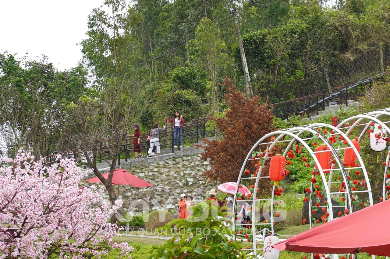 Phú Yên: Quán cà phê Canary Garden bị “tuýt còi” dừng hoạt động nhưng vẫn ngang nhiên đón khách