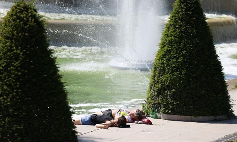 Nghiên cứu: Cây có thể giảm tỷ lệ tử vong vì nắng nóng ở đô thị