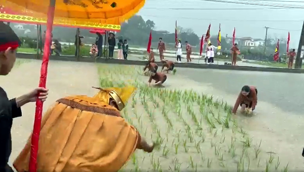 Phú Thọ: Sống động lễ hội Vua Hùng dạy dân cấy lúa