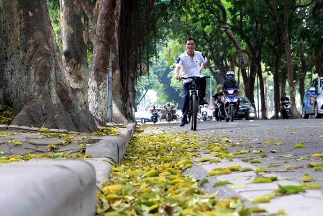 Thời tiết ngày 12/2: Bắc Bộ tăng nhiệt trước khi đón không khí lạnh