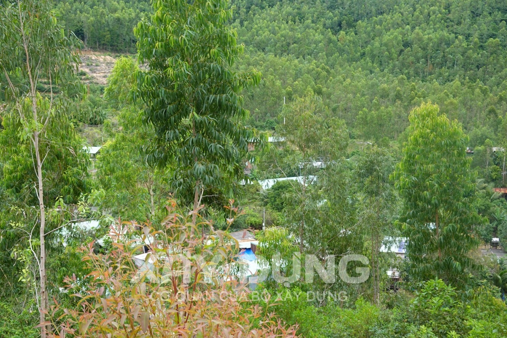 Bình Định: Nhức nhối nạn mua bán, xây nhà trên đất lâm nghiệp tại thung lũng Quy Hòa