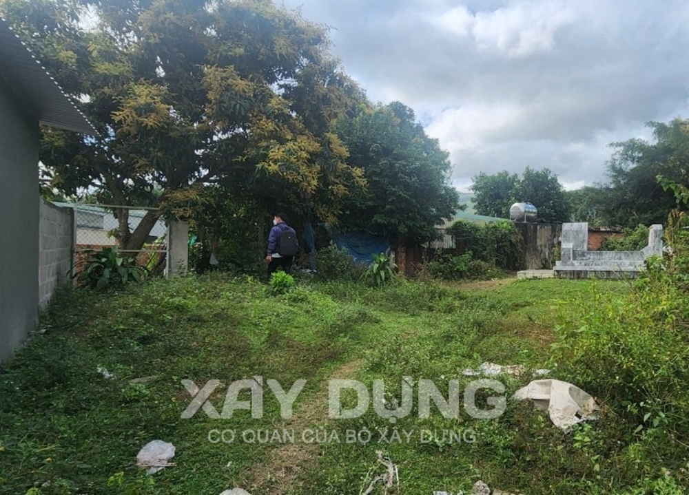 Bình Định: Nhức nhối nạn mua bán, xây nhà trên đất lâm nghiệp tại thung lũng Quy Hòa