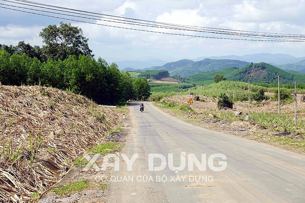 Phú Yên: Công ty Trúc Lâm 17 năm không thực hiện dự án trồng rừng