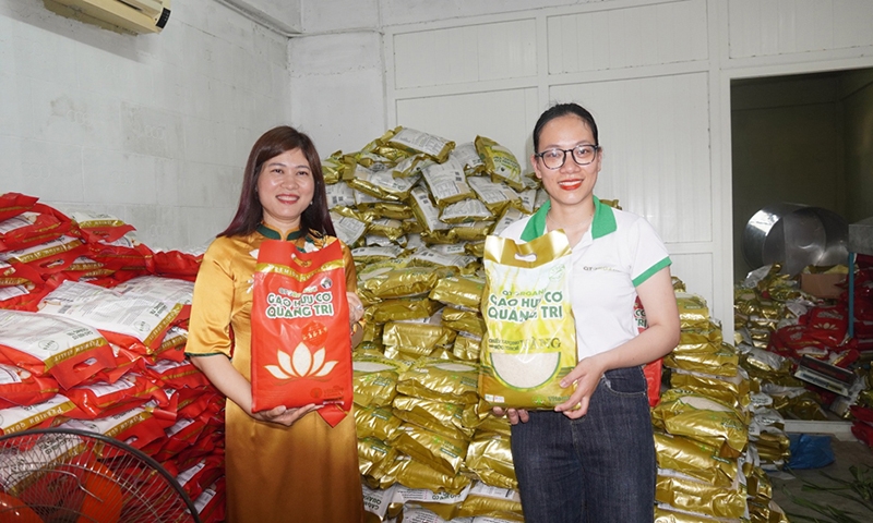 Quảng Trị: Lô hàng gạo hữu cơ đầu tiên được xuất qua châu Âu