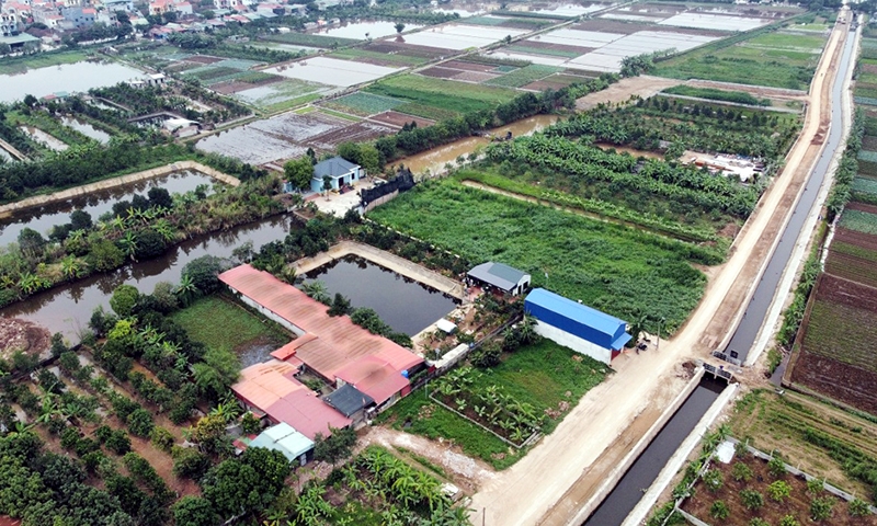 Cả nước dự kiến chuyển đổi trên 146.000ha cây trồng trên đất lúa trong năm 2023