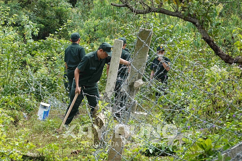 Bình Định: Cưỡng chế 3 trường hợp xây dựng trái phép tại thung lũng Quy Hòa