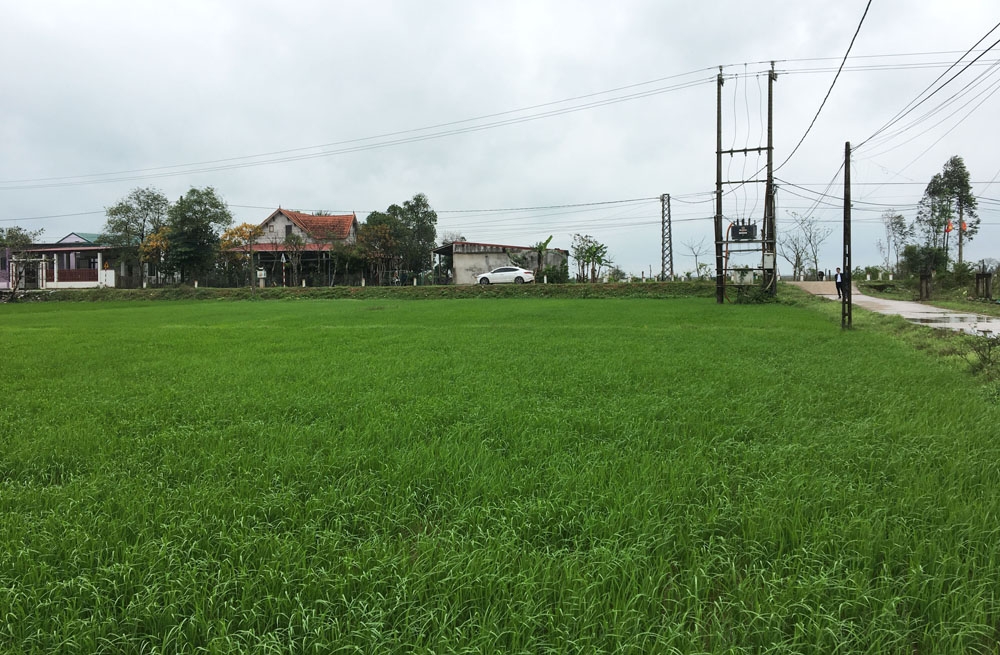 Quảng Bình: Tăng tốc xây dựng khu tái định cư để bàn giao mặt bằng cho Dự án cao tốc Bắc - Nam