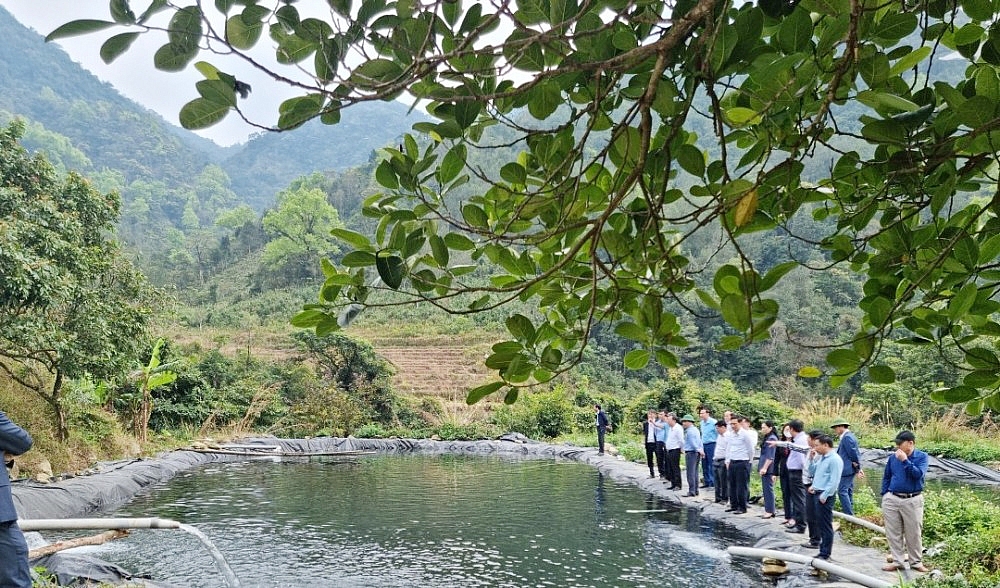 Bình Liêu (Quảng Ninh): Không còn nhà ở dột nát