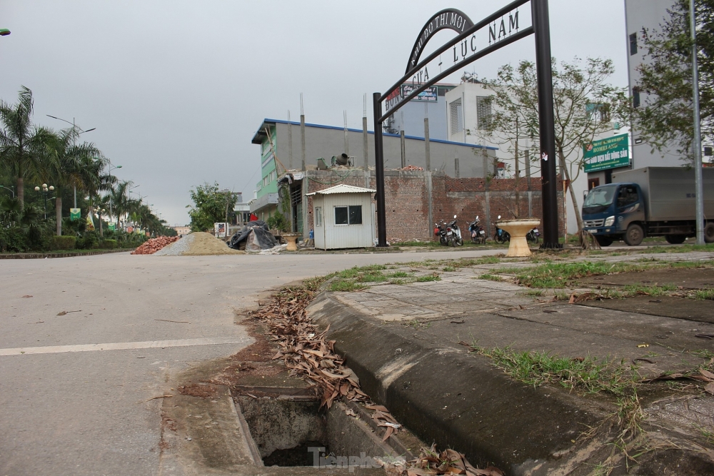 Sau phân lô bán nền, loạt khu đô thị kiểu mẫu thành nơi thả bò, trồng rau