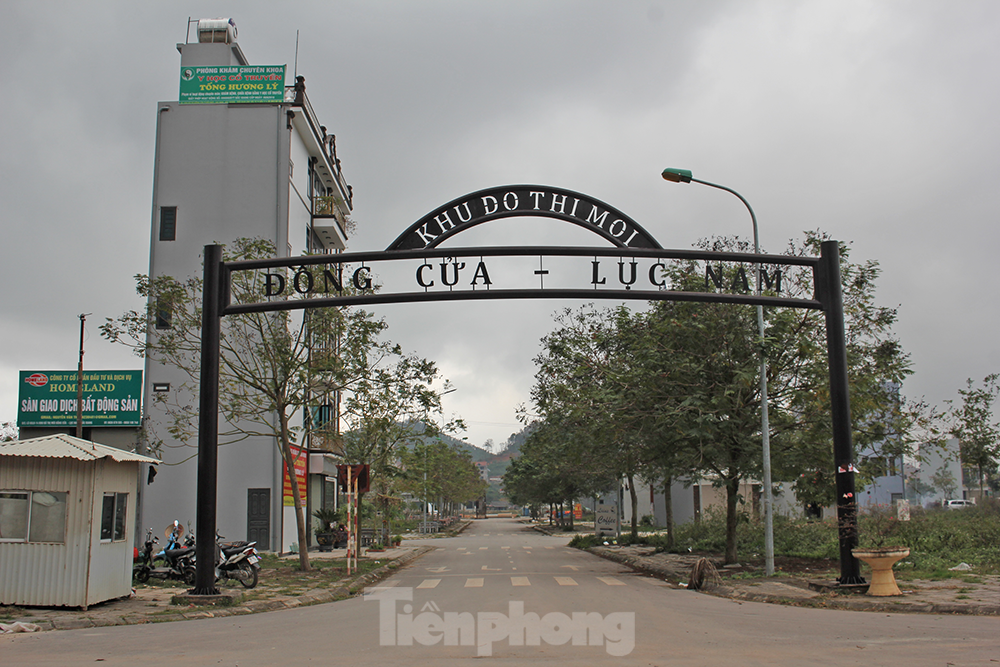 Sau phân lô bán nền, loạt khu đô thị kiểu mẫu thành nơi thả bò, trồng rau