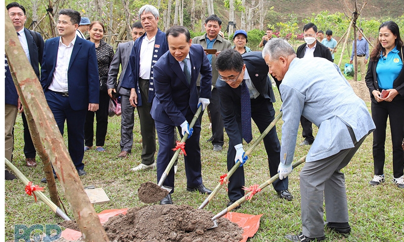 Các đại biểu cùng trồng hoa anh đào ở Khu du lịch Tây Yên Tử.